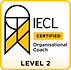 Organisational Coaching Level 2 Certification