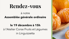 Assemblée générale ordinaire du 19 décembre 2025