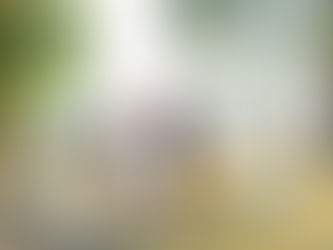 Happy couple celebrating their micro wedding with a waterfront ceremony along the Chester River at Brittland Manor.