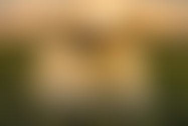 Αγροτικό drone ψεκασμού πάνω από καλλιέργεια στη γεωργία ακριβείας – εφαρμογή drone στη σύγχρονη αγροτική παραγωγή.