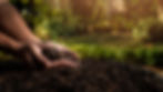 AdobeStock_411892976.jpeg