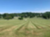 IMG_5208.jpeg
