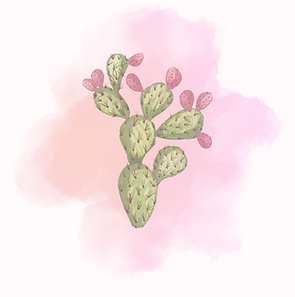 הדרך הארוכה (2).png