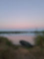 IMG-20220731-WA0054.jpg