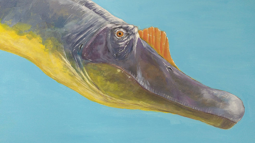 Spinosaurus aegyptiacus (60x80cm).jpg