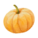 かぼちゃ