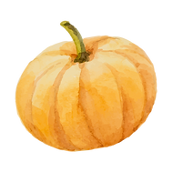Zucca