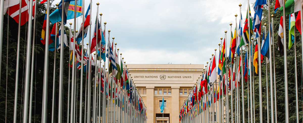 Untitled design (26).png