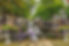 download (1)