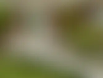 Modular aluminum wheelchair ramp installed at a residential home in Southeast Wisconsin