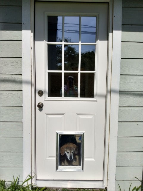 Pet Door Installation