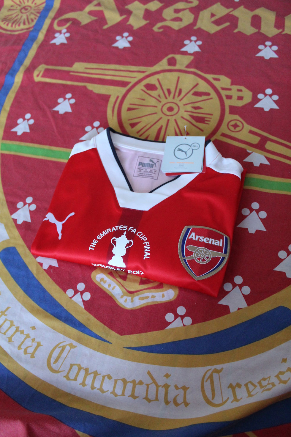 Thumbnail: 2016-17 ANY NAME FA Cup or Prem or UCL Home Shirt