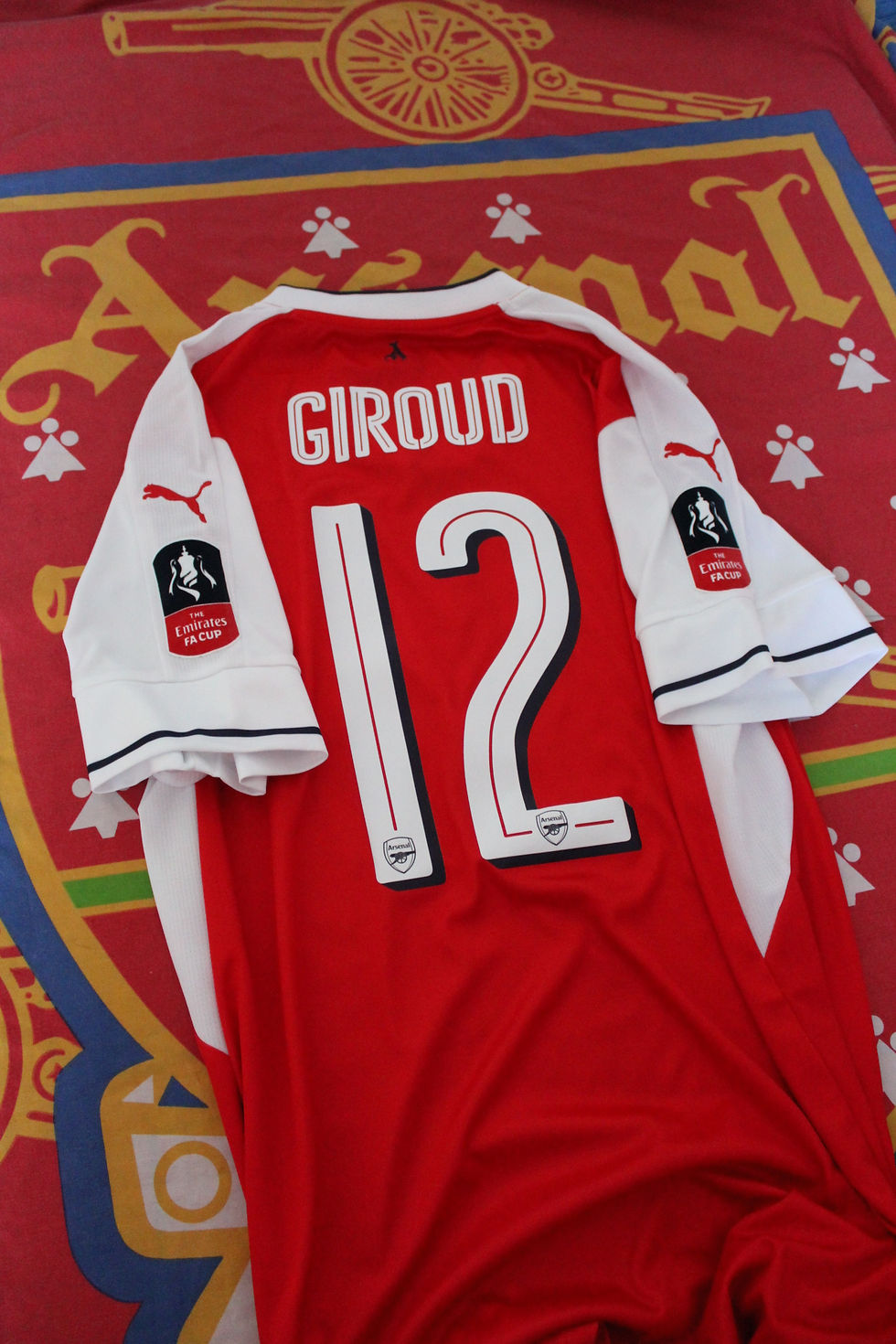 Thumbnail: 2016-17 ANY NAME FA Cup or Prem or UCL Home Shirt
