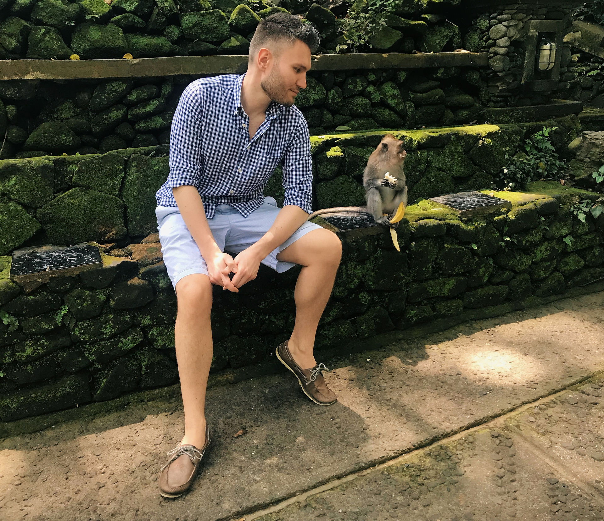Monkey Forest