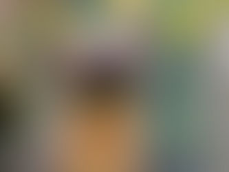 Positive Climate News - October 2025