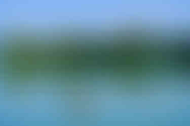 A duck on a lake with ripples around it and trees and mountains in the background.