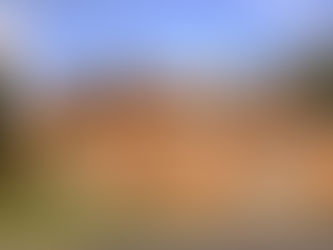 The front of Jane Austen's house which is a red brick building with flowers along the side of one wall.