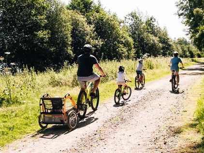 Family cycling on a tree lined path in the Cotswolds.