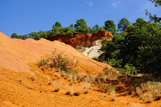 Fiery red cliffs with trees on top.