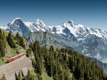 Aerial view of train coming along tracks through gap in the trees on a mountain-side with a view of snow-covered mountains in the distance.