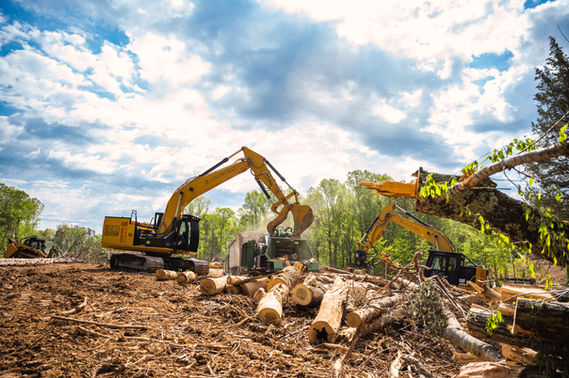 Chipping logs and brush on land clearing job in Clifton Virginia