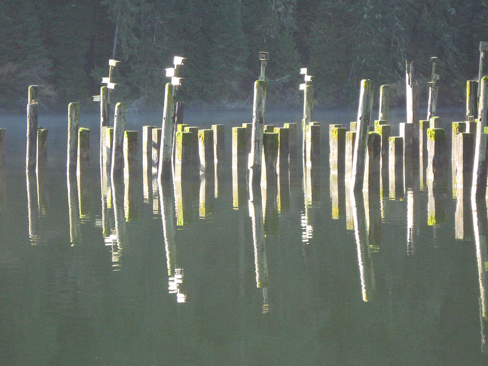 Reflection