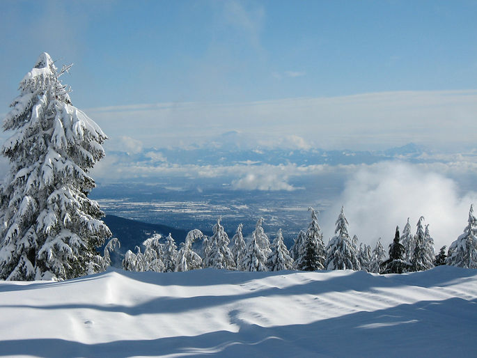 Toni Crow Leadership Coaching Executive Coach Mount Washington Vancouver Island