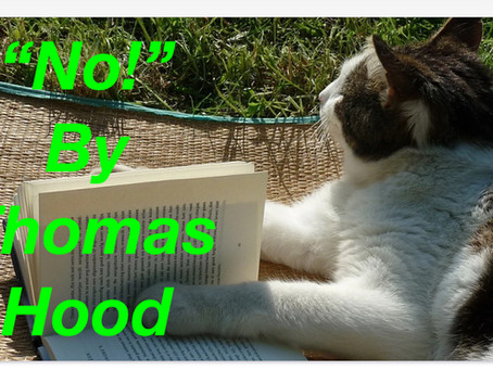 Poetry in the Poconos #1: "No!" by Thomas Hood