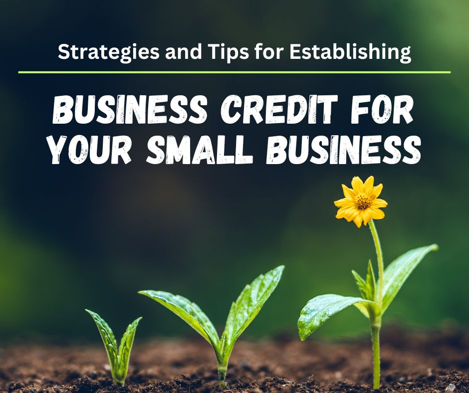 Establishing Business Credit for your Small Business