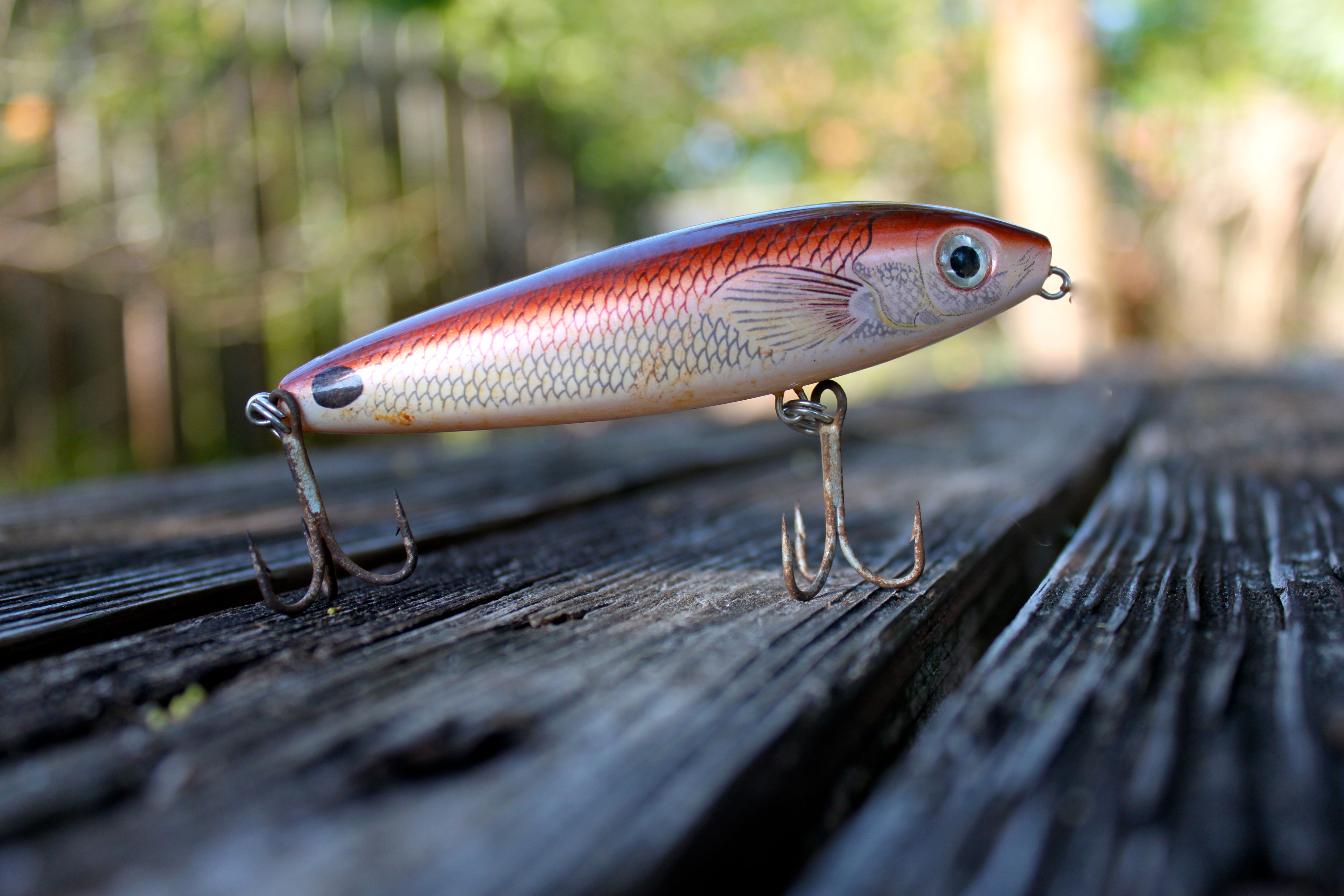 Junior Angler - Adult-Child Team