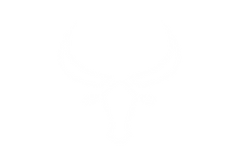Untitled design (3).png