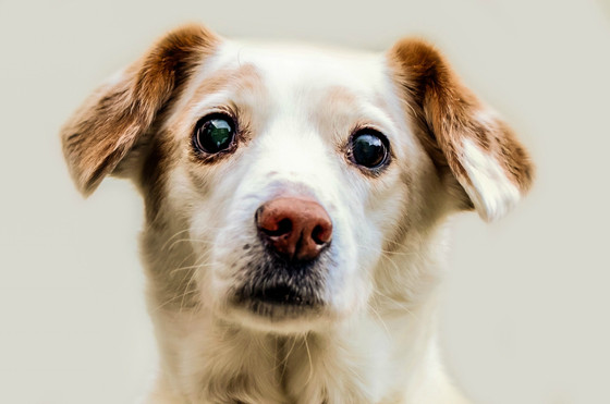 Bank loyalty costs you money