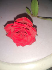 Single red rose with leaf