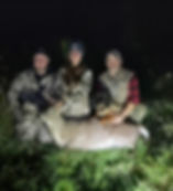 Bavarian Mountain Hound Rafe 4