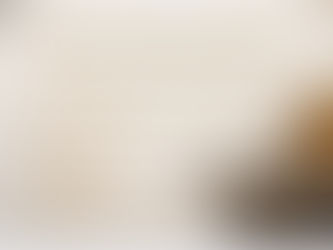 Curso "A questão da Palestina: das origens ao genocídio de Gaza