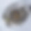 Thumbnail: Sapphire Exhibition Caseback for the 3861 Omega Speedmaster