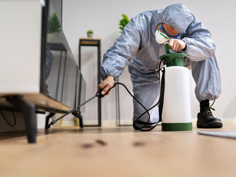 Why Professional Pest Control Matters