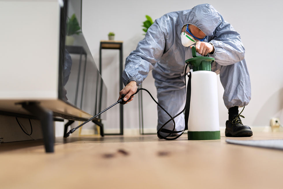 pest-control-exterminator-man-spraying-termite-pesticide.jpg
