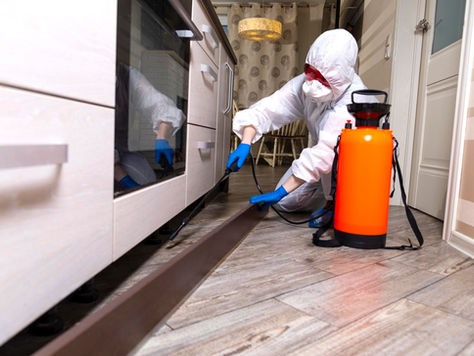 Essential Tips For Rodent Prevention