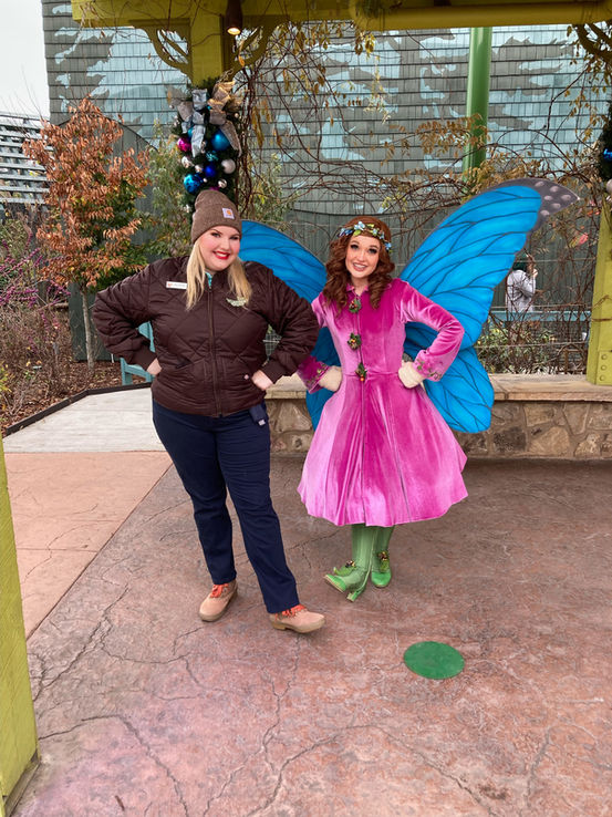 Dollywood Theme Park