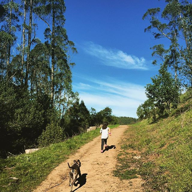 Redwood Trail #Tilden #Berkeley #BayExplorers #NatureLover #WhatToDoWithKidsInTheBayArea #AndDogs #F