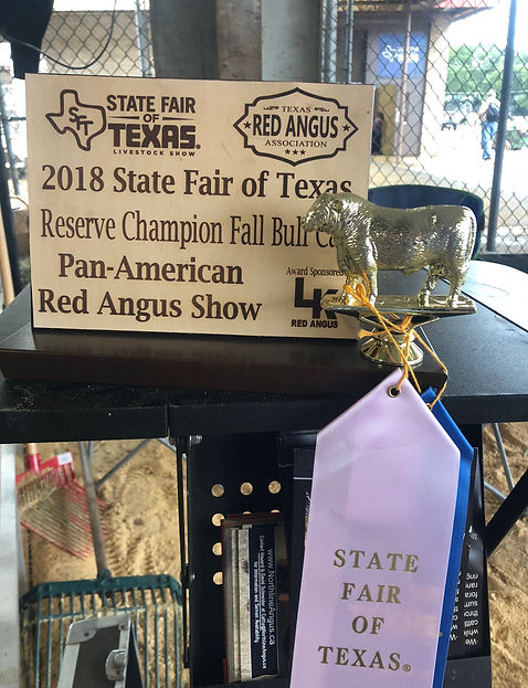 2018 State Fair.JPEG