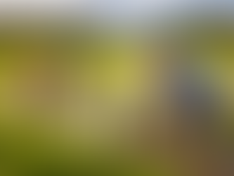 Mengelola Padi di Era Krisis Lingkungan: Bagaimana Teknologi Pemupukan dan Irigasi Baru Bisa Jadi Penyelamat Masa Depan