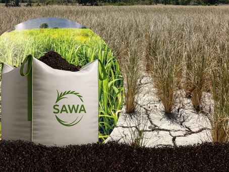 Biochar & Pupuk Nitrogen Lepas Lambat: Solusi Cerdas untuk Pertanian Tahan Kekeringan