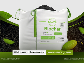 From Waste to Soil: How We Transform Agricultural Residues Into High-Performance Biochar