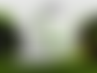 From Waste to Soil: How We Transform Agricultural Residues Into High-Performance Biochar