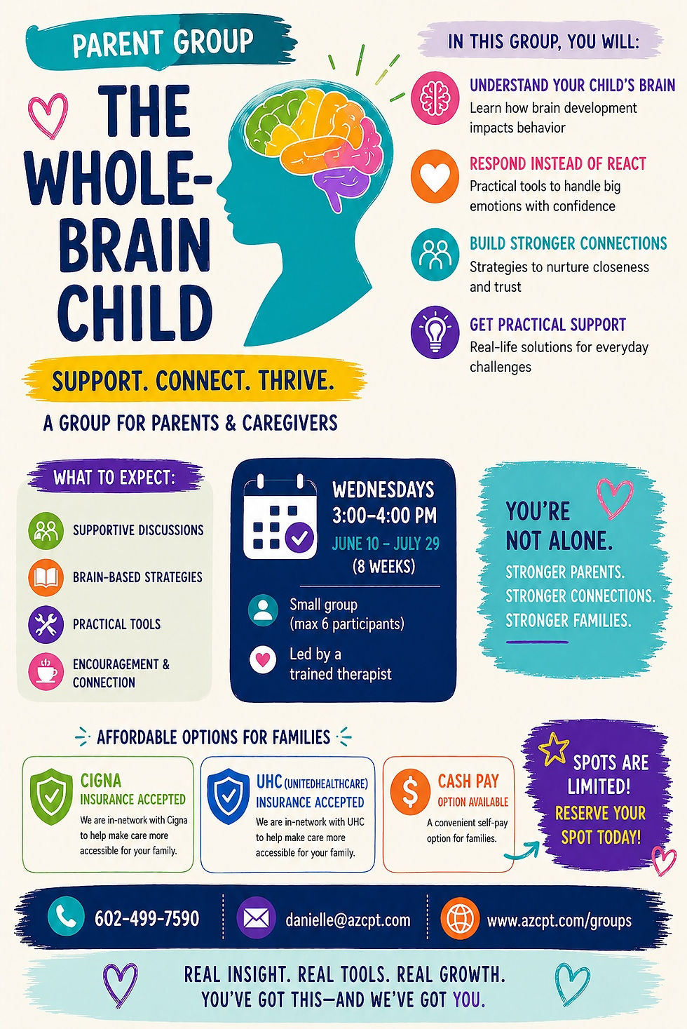 whole brain child.jpg