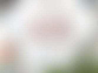 The Miami Dolphins Sport Classics T Shirt