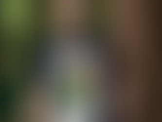 Oakland Athletics Uphill Cooperstown Collection Core Logo Shirt