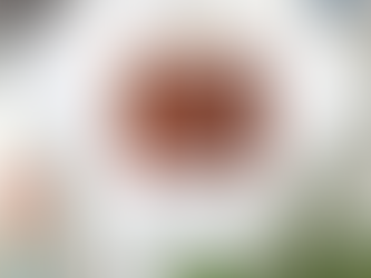 Original Pearl Jam Chicago august 29 31 2024 Wrigley Field Logo shirt